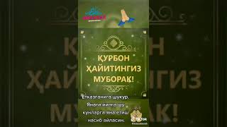 КУРБОН ХАЙИТИНГИЗ МУБОРАК!!!