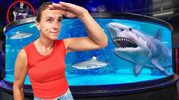 Extreme Hide and Seek at Aquarium and Reptile Zoo!