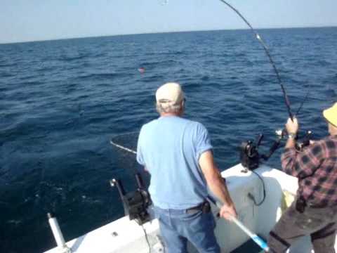 New Addition Lake Michigan Salmon Fishing Charters...