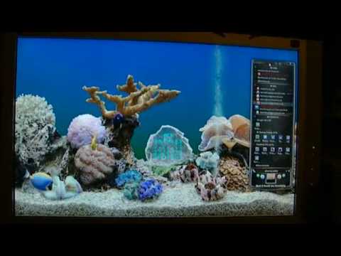 my aquarium desktop youtube