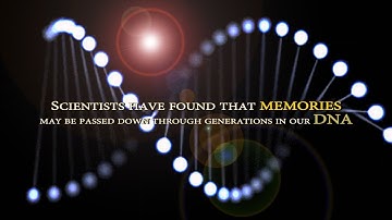 How DNA Can Transfer Memories Across Generations