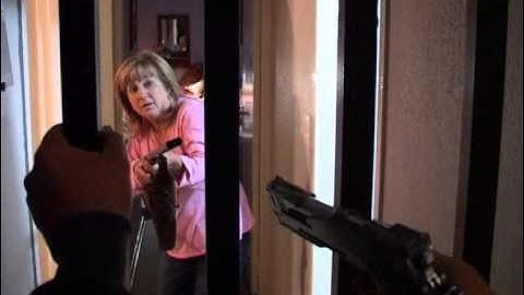 Owl Alert Wireless Alarm