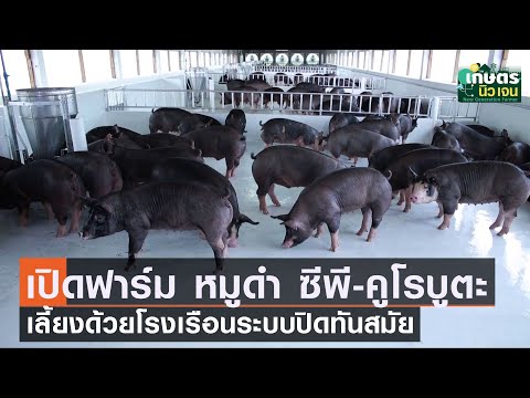 วีดีโอ: ตำรวจที่ยากที่สุดของนิวซีแลนด์สัญญาว่าจะนำพา & สั่งซื้อ