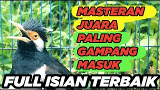 Burung Jalak Suren Gacor Full Isian Tembakan Mewah Tengkek Buto Suara Unik