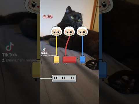 #Cats #FunnyCat #labubu  #CatVideo #CatShorts #duet #tiktokviral #tiktokgaming #italianbrainrot #usa