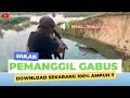 Siulan pemanggil ikan gabus ke permukaan terbaru, Dijamin 100% ampuh