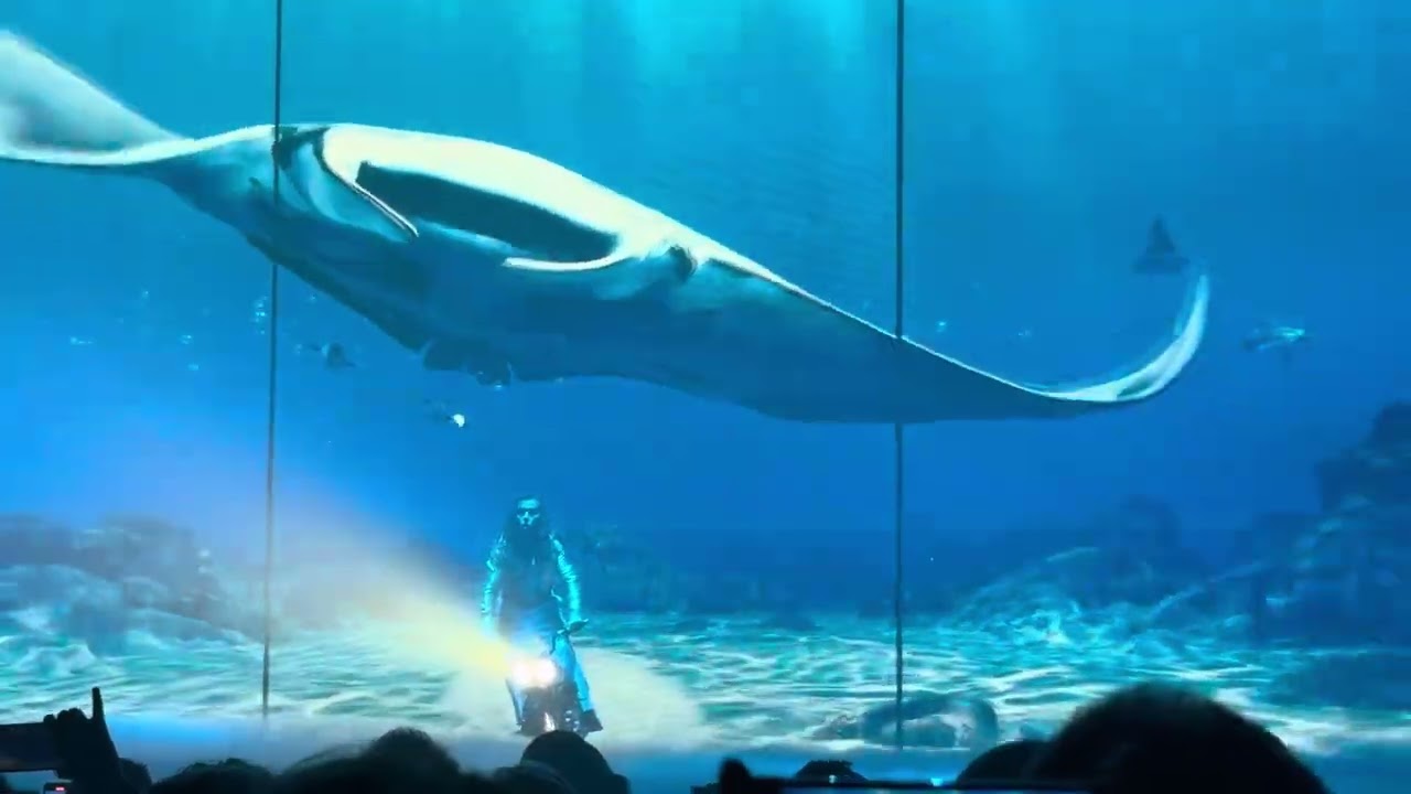 11bis voyage en moto Julien Doré Zénith Nantes octobre 2025