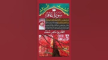 ۞وَيَٰقَوۡمِ مَا لِيٓ أَدۡعُوكُمۡ إِلَى ٱلنَّجَوٰةِ وَتَدۡعُونَنِيٓ إِلَى ٱلنَّارِ   #سورة_غافر