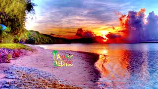 Stylo G feat Sean Paul & Spice - Dumpling (Remix)