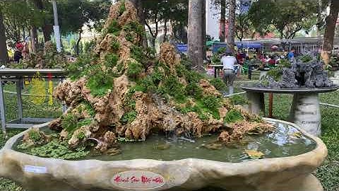 Triển lãm hoa lan bonsai tiểu cảnh non bộ tại hoa Xuân tao đàn năm 2023|Qua Thom TV