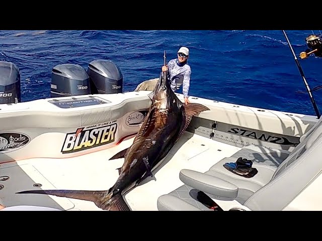 HUGE BLUE MARLIN*!!! Catch Clean Cook 