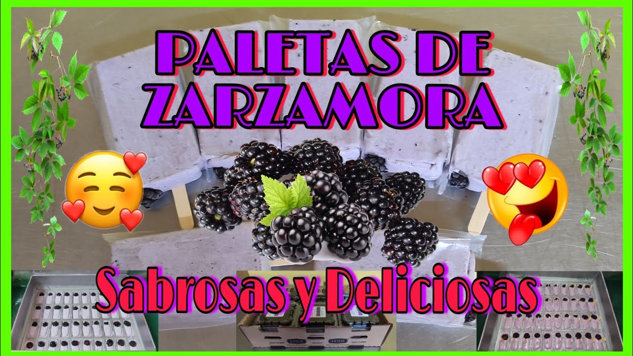 Paletas De Zarzamora De crema / Como Preparar Estas Deliciosas y Sabrosas Paletas