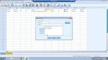 Two Sample t-test in SPSS