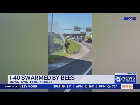 Accident In Knoxville Tn