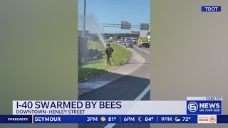 Crash on I-40 near downtown Knoxville releases a million bees