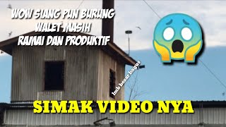 SUARA RAJA PAKAR WALET 4 ORI | SUBSCRIBE