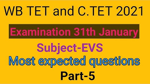Most expected questions of EVS for WB TET and C.TET part-5 by Taufique Ansari