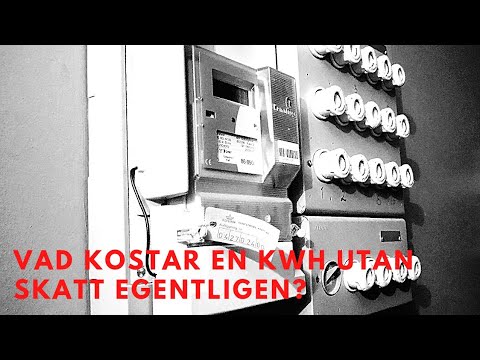 Video: Hur mycket kostar biljetten till bilmässan?