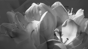 Thumbnail of Harold Mabern - My Funny Valentine