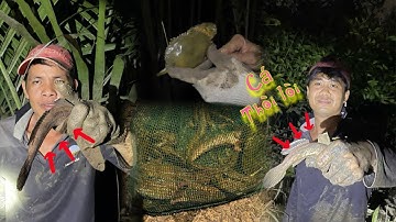 Săn bắt đêm và cái kết cá thòi lòi,cua biển... Anh Em Cần Giờ