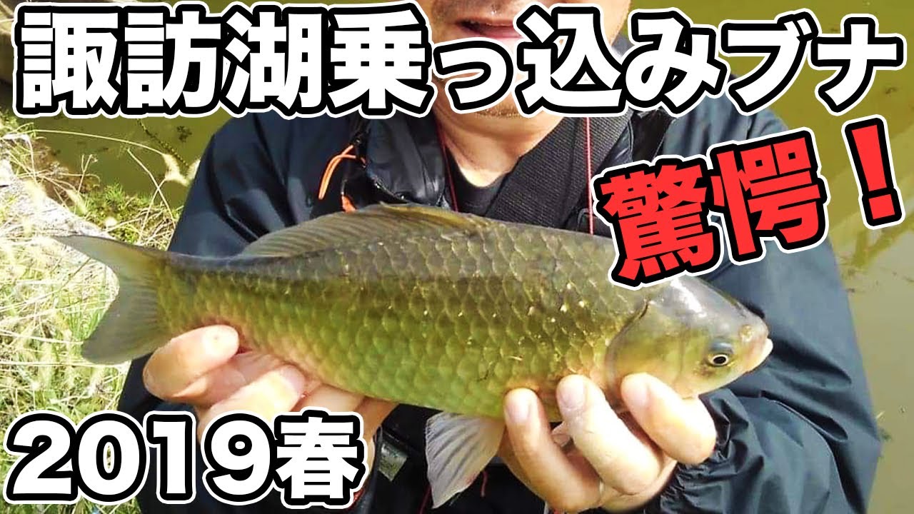 衝撃 諏訪湖の乗っ込み鮒の謎 後編 19年5月 鮒釣りパラダイスが沈黙した理由とは 小物釣り フナ マブナ Youtube 衝撃 諏訪湖の乗っ込み鮒の謎 後編 19年5月 鮒釣りパラダイスが沈黙した理由とは 小物釣り フナ マブナ Youtube