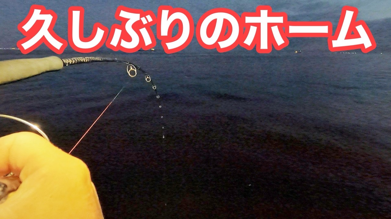 【久しぶりのホーム】今年初の場所に帰って来た〜!やっぱりここはいいな〜【ショアジギング/飲ませ釣り】