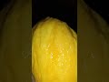 #sweetmango#nature #fruit