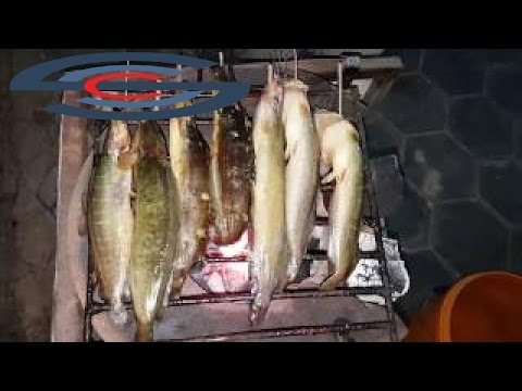 Beautiful Girl Fishing - Young Girl Grill Fish - Cambodia Traditional Fishing  - hot