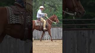 Luna Is Very Concerned About My Right Leg.