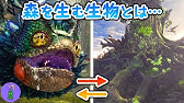 Mhw 任務 6 驚愕の プケプケ 調査 プケプケ 029 モンスターハンター ワールド Youtube