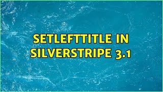 setLeftTitle in Silverstripe 3.1 (2 Solutions!!)