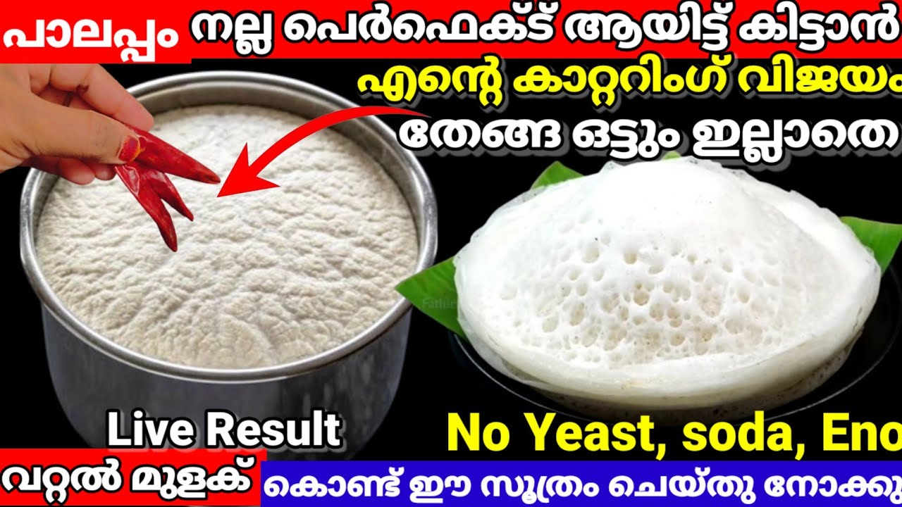 ✅ഫേമസ് ഹോട്ടൽ ഷെഫ് പറഞ്ഞ വറ്റൽ മുളക് രഹസ്യം ഇനി പാലപ്പം നന്നാവാൻ മാവിൽ ഇങ്ങനെ ചെയ്യൂ |viralvideo