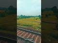 safernama song #viral #editing #trending