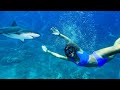 SWiMMiNG WiTH SHARKS!! LiLEE