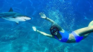 SWiMMiNG WiTH SHARKS!! LiLEE&#39;S BiRTHDAY WISH *GONE WRONG?*🦈😱