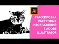 Трассировка растровых изображений в Иллюстраторе. Трейс в Adobe Illustrator