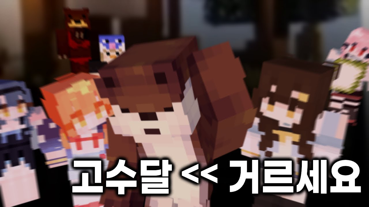 [다피스] 금쪽이