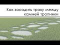 Как засадить траву между камней тропинки мультискаттером / Multiscatter