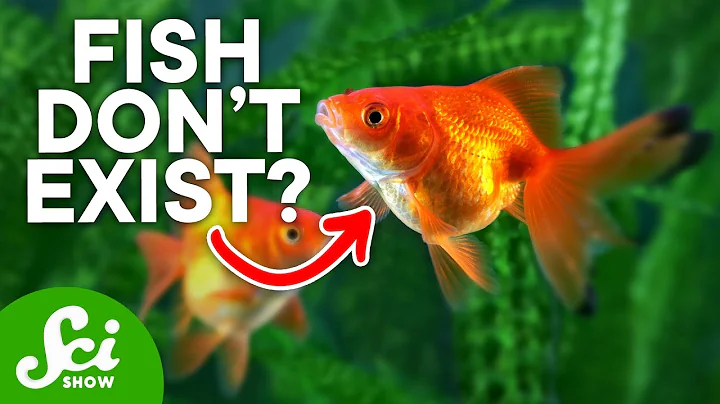 Why Humans May Actually Be Fish - DayDayNews