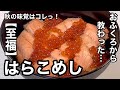 仙台の秋の味覚はコレっ！至福のはらこめし。