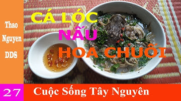 CÁ QUẢ NẤU HOA CHUỐI - Canh Chua Cá Lóc nấu bắp chuối | Cuộc Sống Tây Nguyên