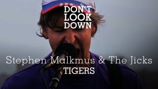 Video thumbnail of "Stephen Malkmus and the Jicks - Tigers - Don't Look Down"