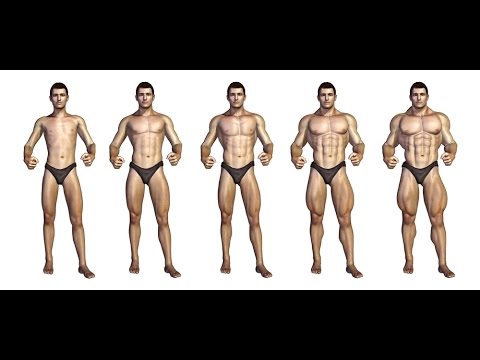 Cuanto tarda el musculo en crecer