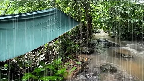 สำรวจป่า ในลำห้วยฝนถล่มหนัก ย้ายนอน สันเขา เจอชะนี หลายฝูง