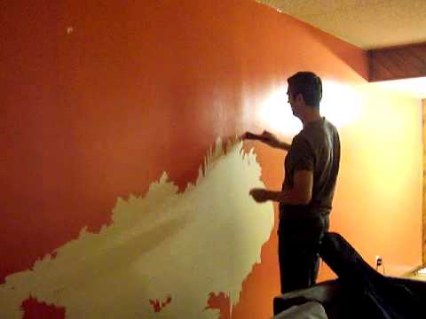 Fresh Paint Starts Peeling Off The Wall No Wall Preparation Fail 1 2