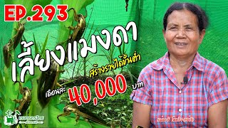 เลี้ยงแมงดา ต้องทำไงบ้าง สร้างรายได้ขั้นต่ำ 40,000 บาท/เดือน l เกษตรกรไทย สร้างรายได้ Ep293