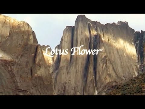 Lotus Flower - Multipitch climbing in Canada [français - english]