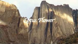 Lotus Flower - Multipitch climbing in Canada [français - english]