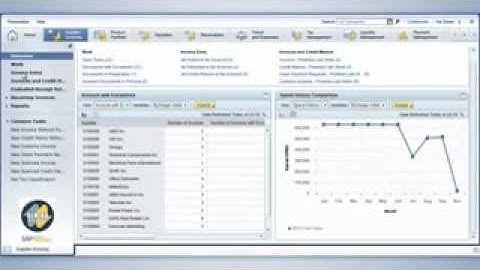 Supplier Invoicing Using SAP Business ByDesign - Solution Demo