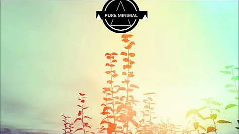 MINIMAL/TECH-HOUSE-MIX (PURE MINIMAL)